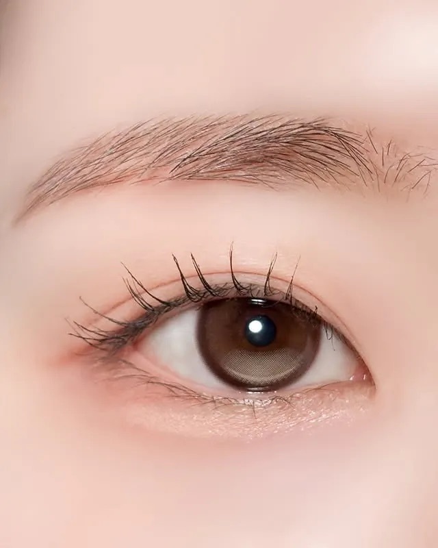 [日拋] FiPN x DAVICH Lens 1 Day FORAEA Fixing Camel 彩妝隱形眼鏡｜每盒10片