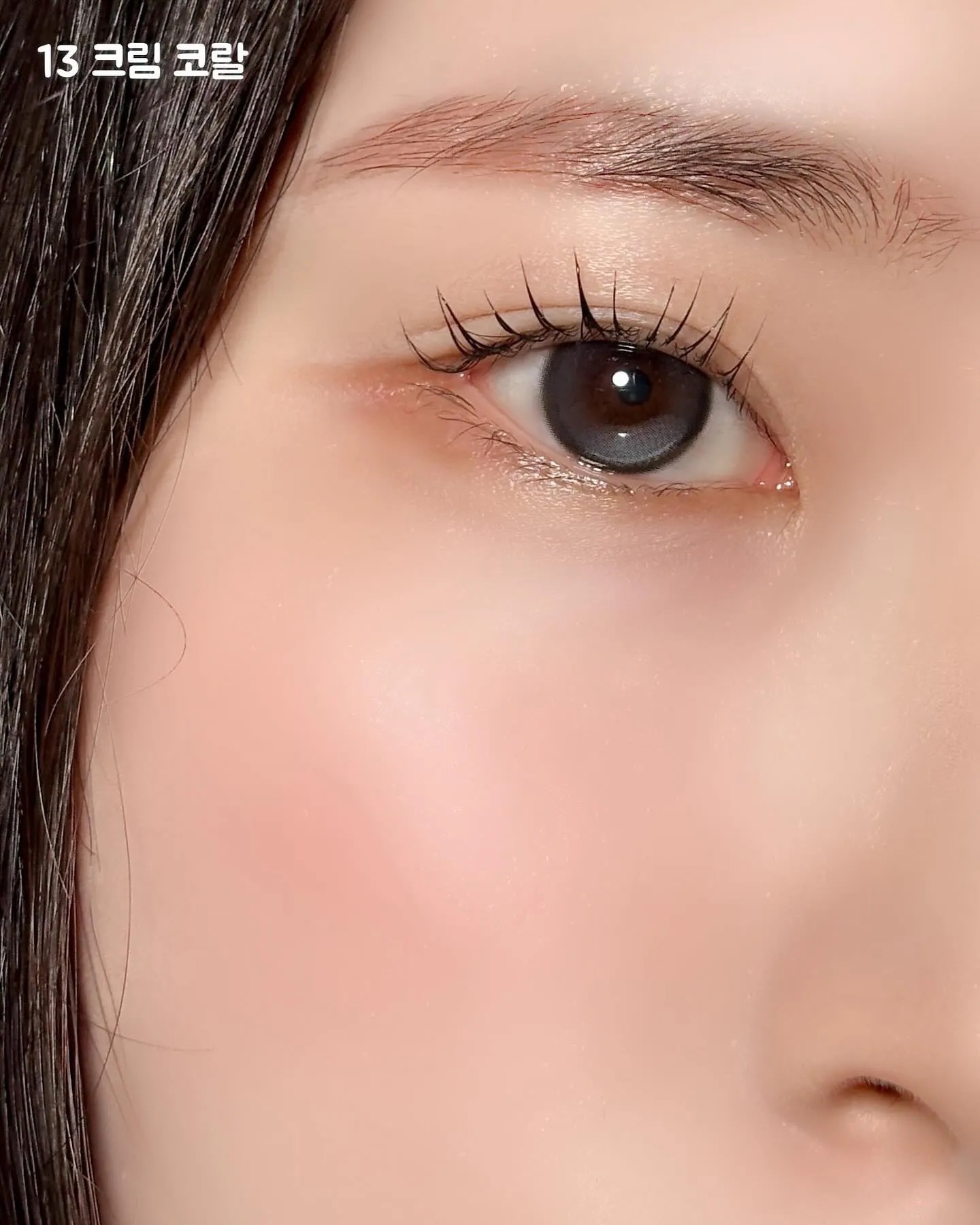 [日拋] FiPN x DAVICH Lens 1 Day FORAEA Fixing Ash 彩妝隱形眼鏡｜每盒10片