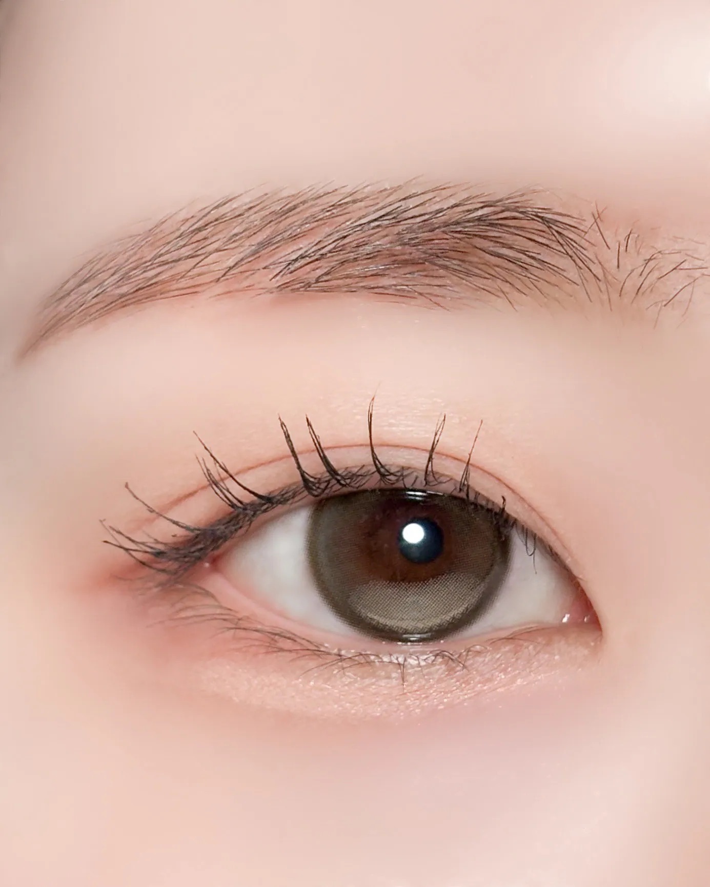 [日拋] FiPN x DAVICH Lens 1 Day FORAEA Fixing Olive 彩妝隱形眼鏡｜每盒10片