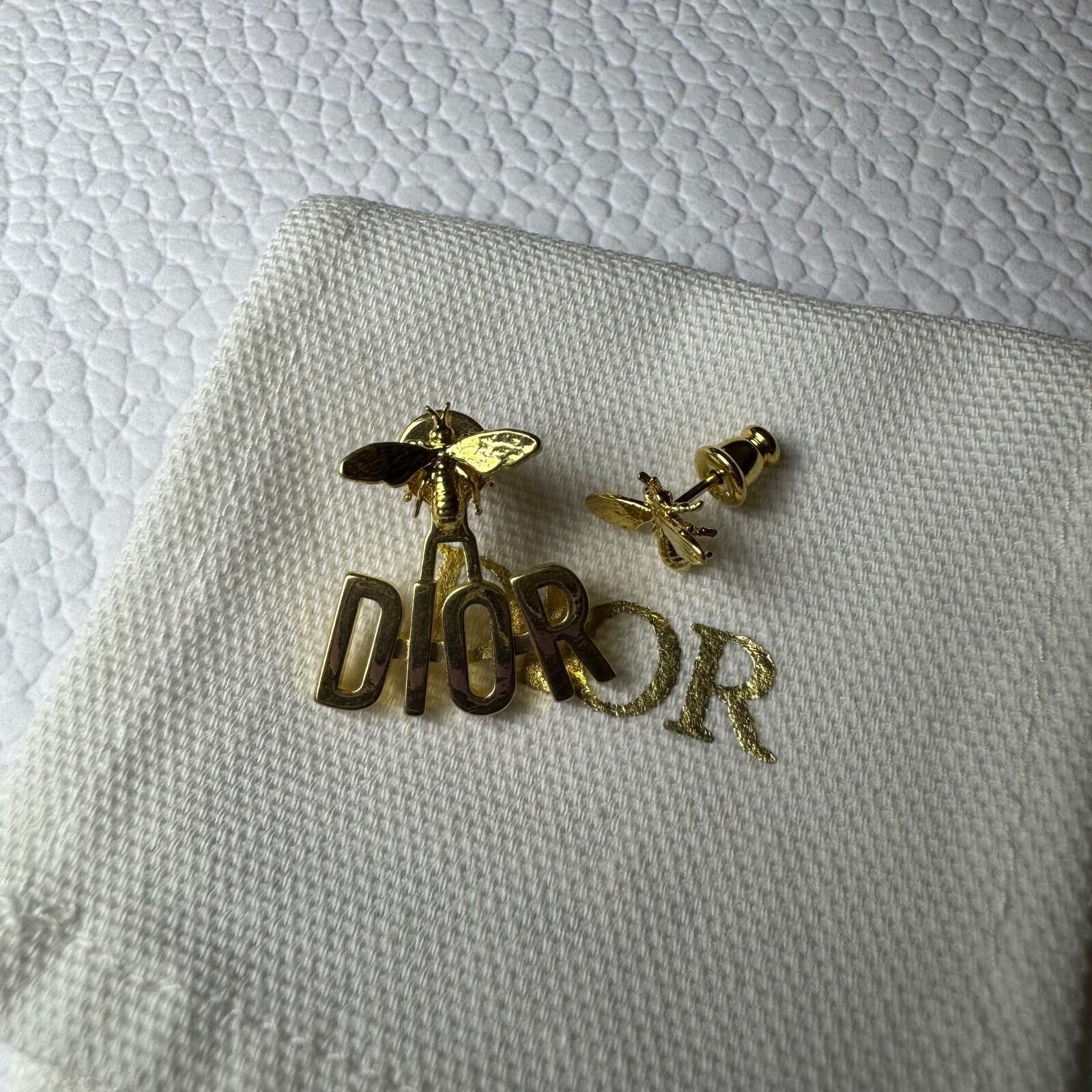 UK-GGG0301-064 DIOREVOLUTION EARRINGS - E2013WOMMT (B5)