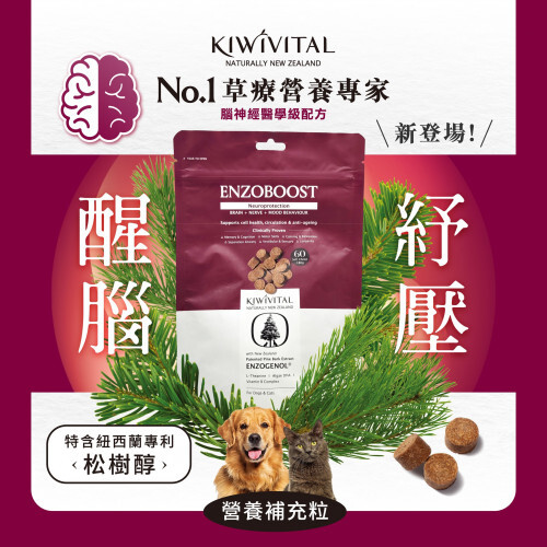 Kiwivital ENZOBOOST CHEWS 紐西蘭松樹醇 [ 腦神經醫學級配方 ] 營養補充粒 60粒