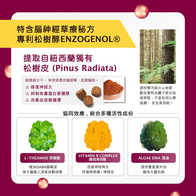 Kiwivital ENZOBOOST CHEWS 紐西蘭松樹醇 [ 腦神經醫學級配方 ] 營養補充粒 60粒(有效修復 "腦.脊.肌"神經訊息傳遞, 改善大腦認知, 神經前庭, 情緒行為)