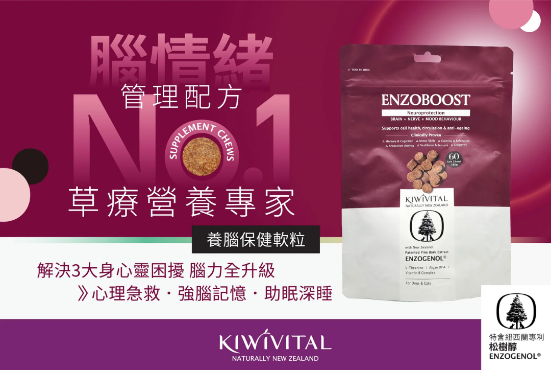 Kiwivital ENZOBOOST CHEWS 紐西蘭松樹醇 [ 腦神經醫學級配方 ] 營養補充粒 60粒(有效修復 "腦.脊.肌"神經訊息傳遞, 改善大腦認知, 神經前庭, 情緒行為)