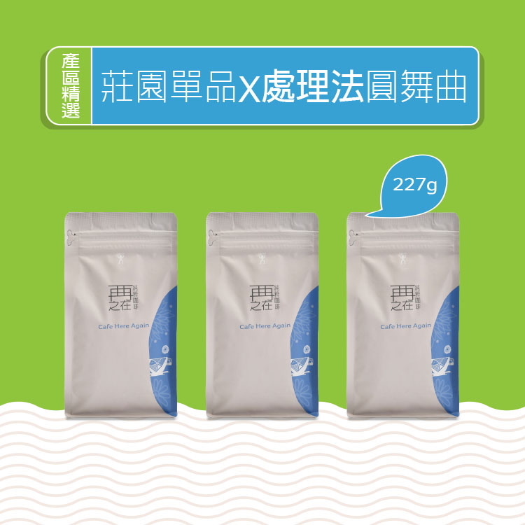 莊園單品 x 處理法圓舞曲 / (淺焙 227g x 3包)