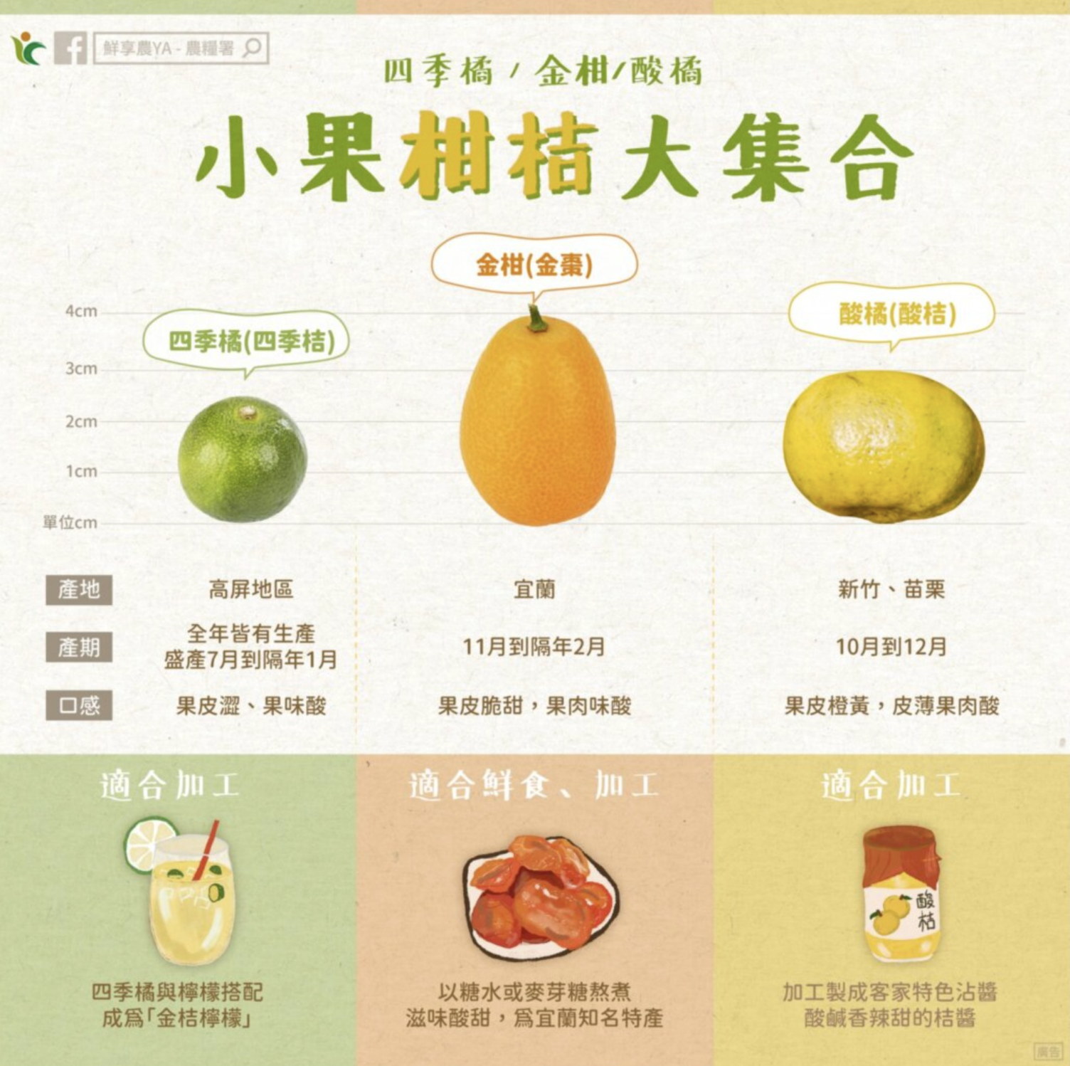 小果柑桔大集合