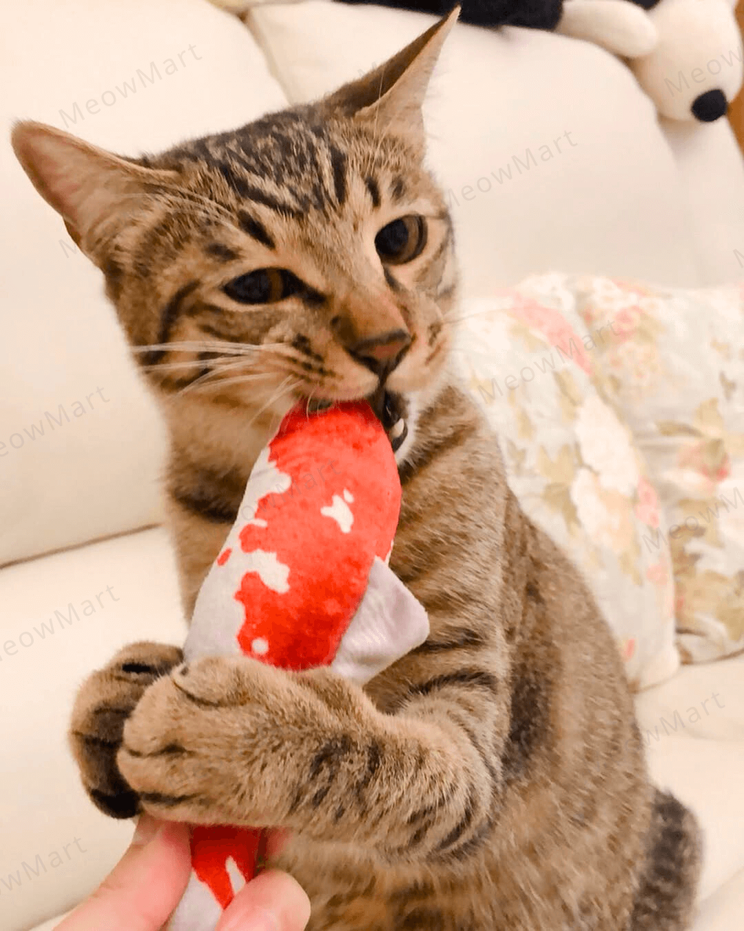 catwant 貓咪旺農場 貓草玩具