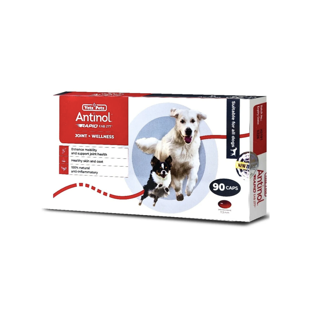 Antinol Rapid 犬用關節保健補充膠囊 -90粒裝