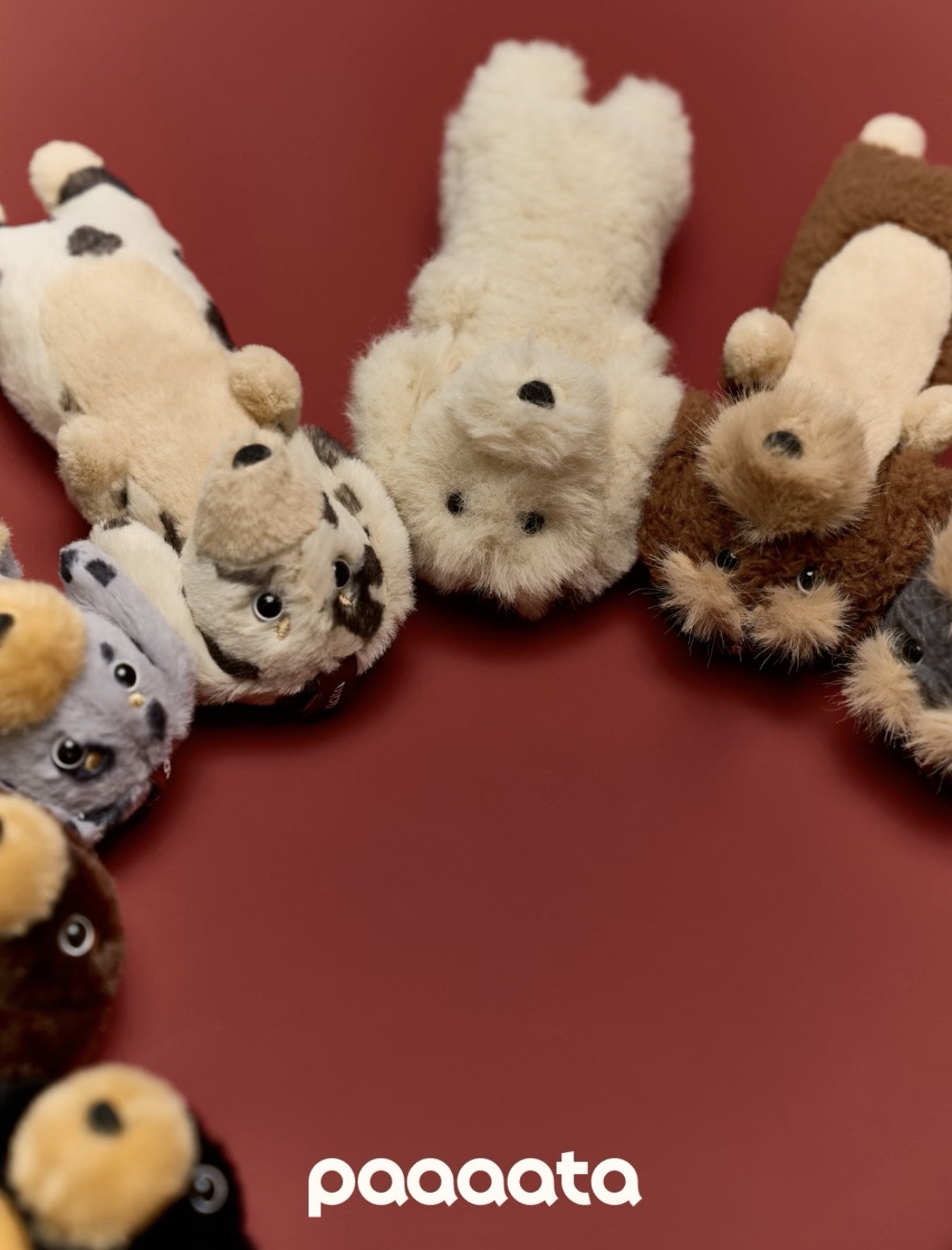 （現貨）新款汪汪隊🐶PAAAATA 原創品牌 臘腸狗吊飾 7款