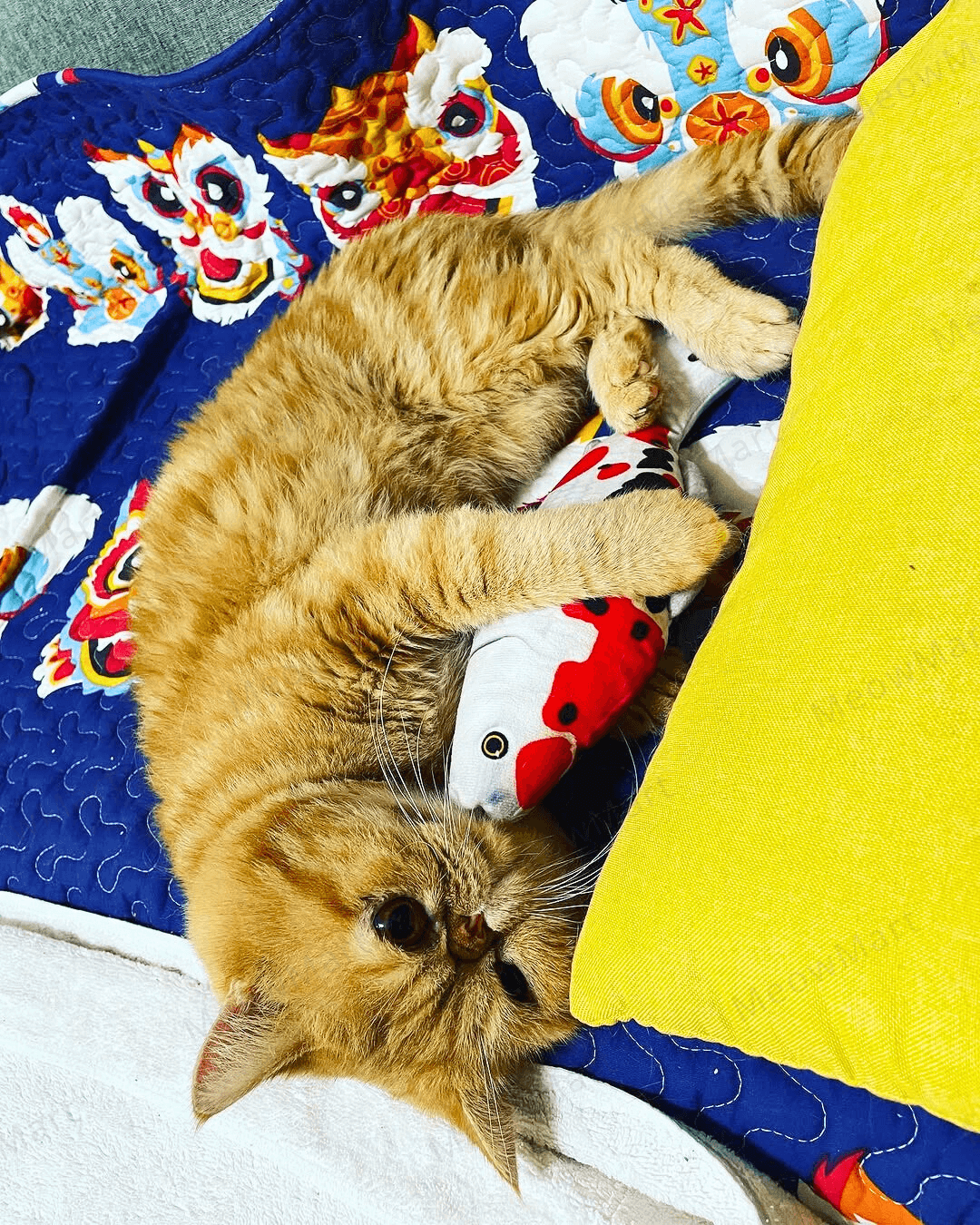 catwant 貓咪旺農場 貓草玩具