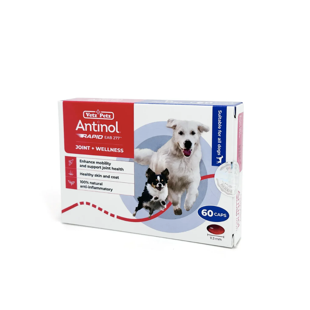 Antinol Rapid 犬用關節保健補充膠囊 -60粒裝
