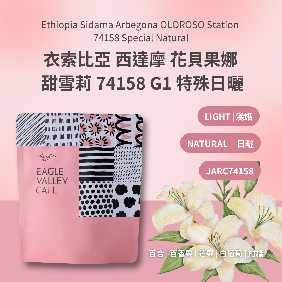 衣索比亞 西達摩 花貝果娜 甜雪莉處理廠 74158 G1 特殊日曬  淺焙 咖啡豆
