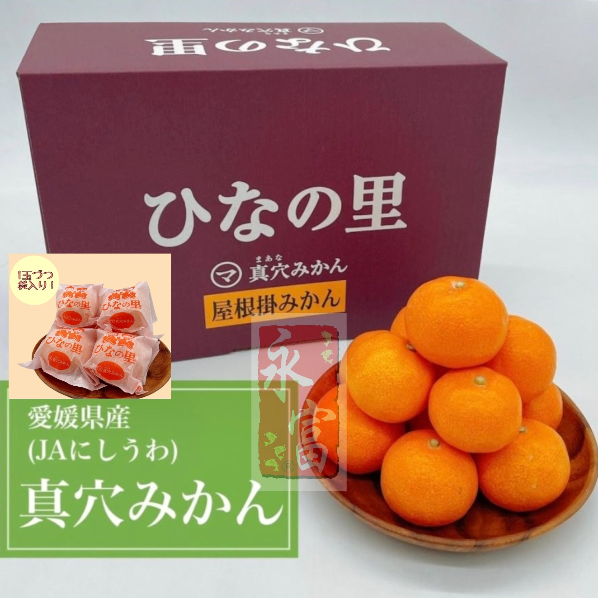 日本愛媛縣雛之里蜜柑