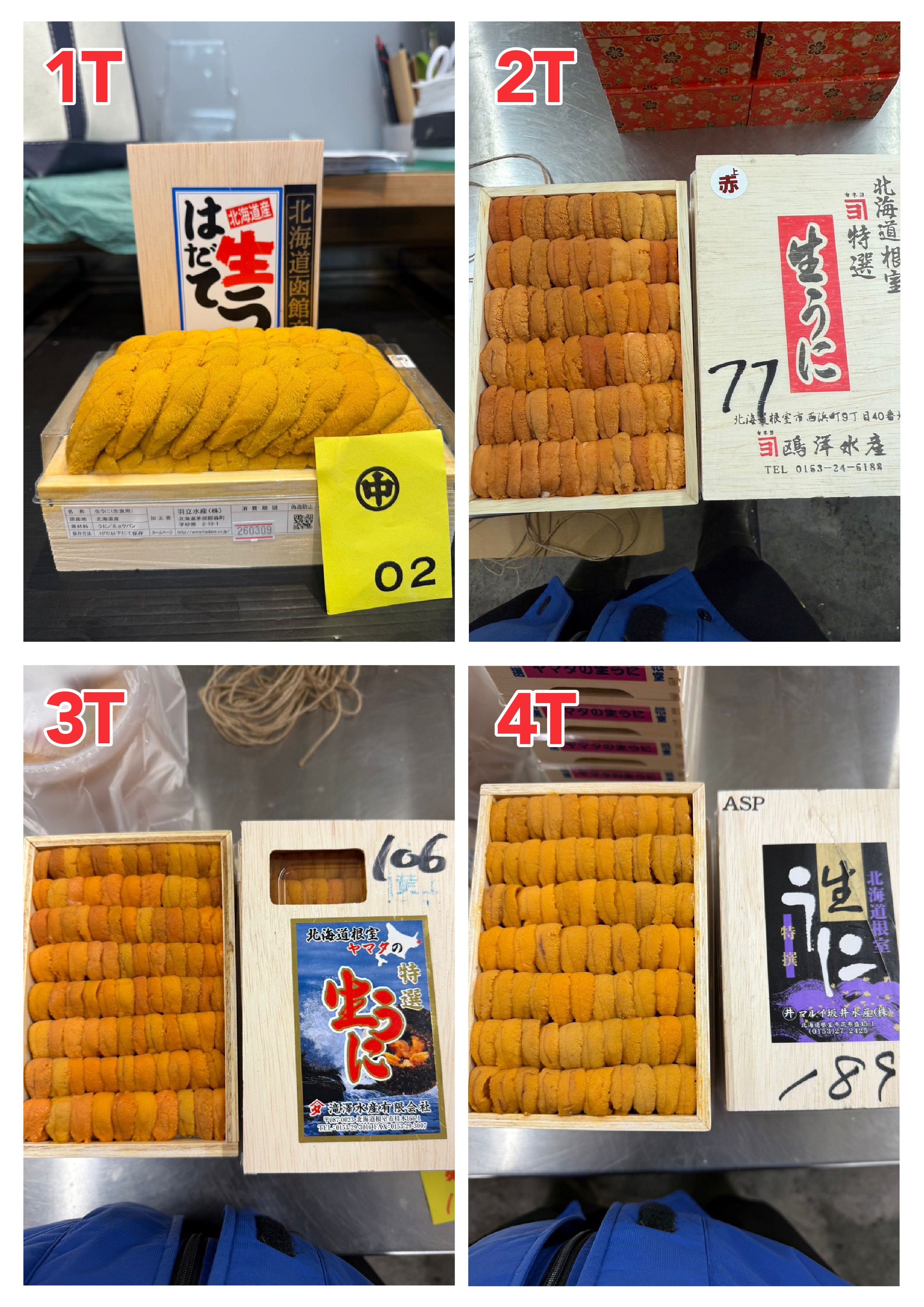 【指定海膽推薦】每天更新 (限即日落單, 翌日送)