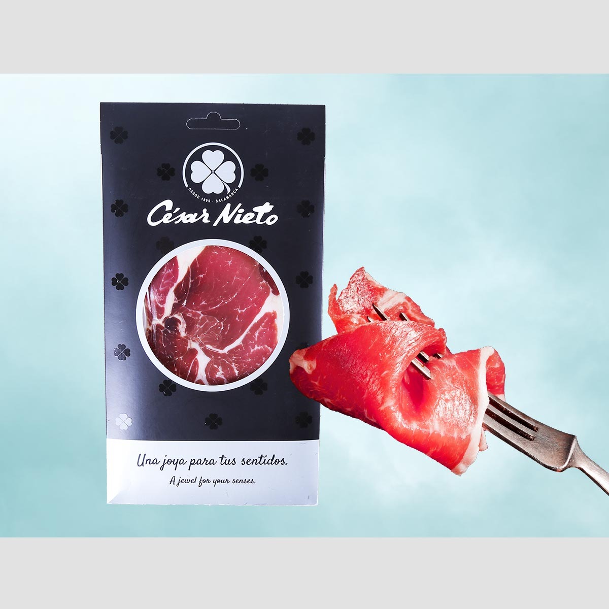 西班牙伊比利亞黑毛豬風乾火腿 (80克)