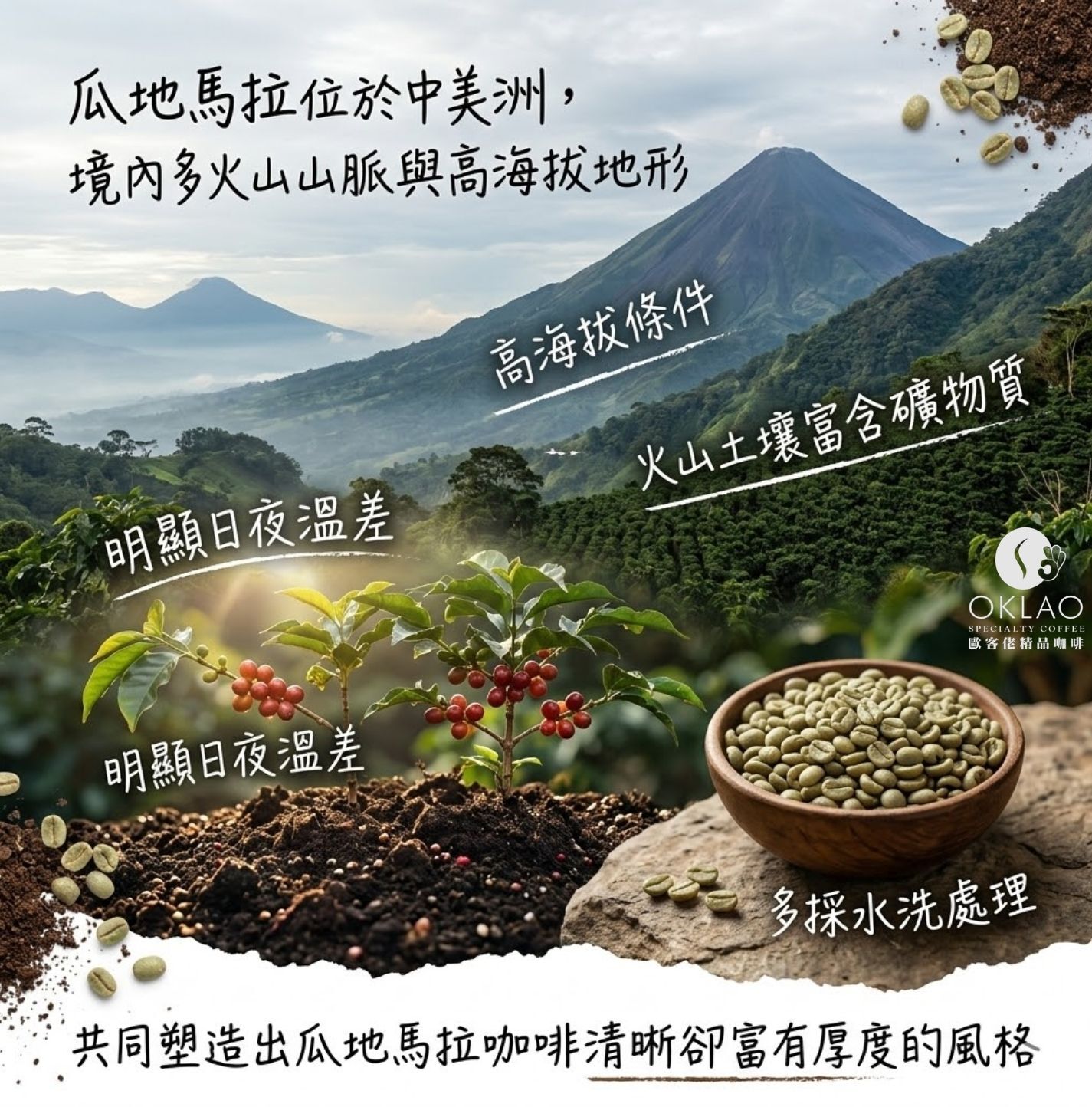 瓜地馬拉咖啡 瓜地馬拉咖啡推薦 瓜地馬拉產區 瓜地馬拉咖啡風味 瓜地馬拉花神 瓜地馬拉咖啡介紹 精品咖啡 瓜地馬拉咖啡品種 手沖咖啡 咖啡知識