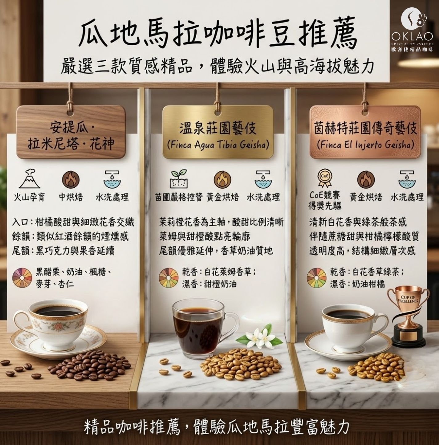 瓜地馬拉咖啡 瓜地馬拉咖啡推薦 瓜地馬拉產區 瓜地馬拉咖啡風味 瓜地馬拉花神 瓜地馬拉咖啡介紹 精品咖啡 瓜地馬拉咖啡品種 手沖咖啡 咖啡知識