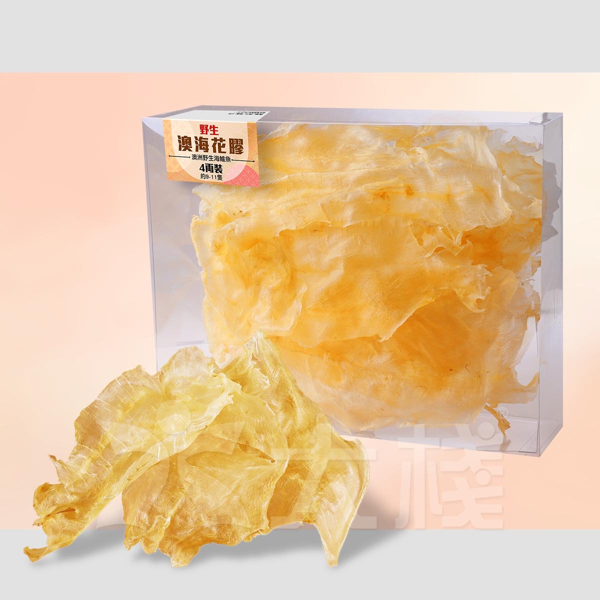 野生澳海花膠 (4兩約9-11隻) 澳洲野生海鱸魚花膠