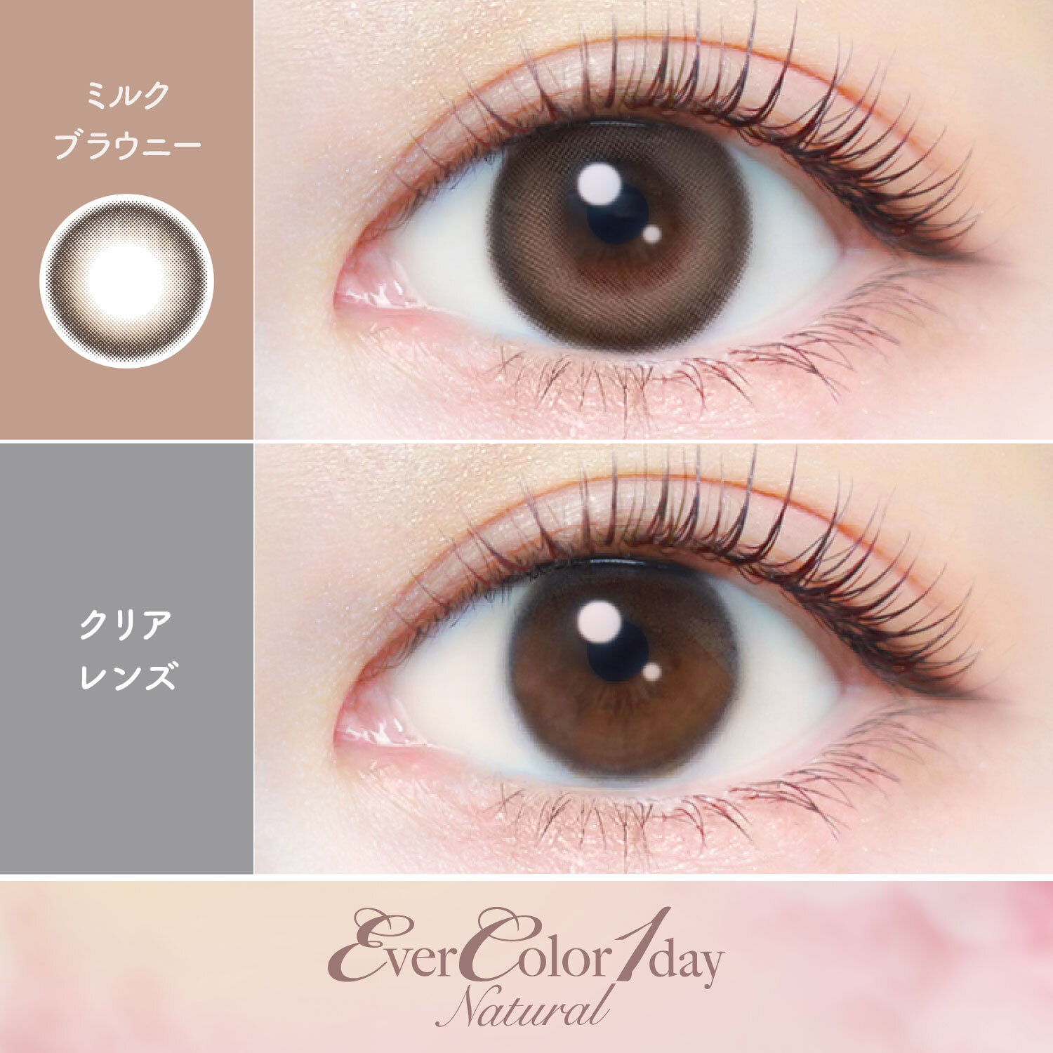 Ever Color 1 Day Natural milkbrownie｜日拋彩妝隱形眼鏡｜每盒20片