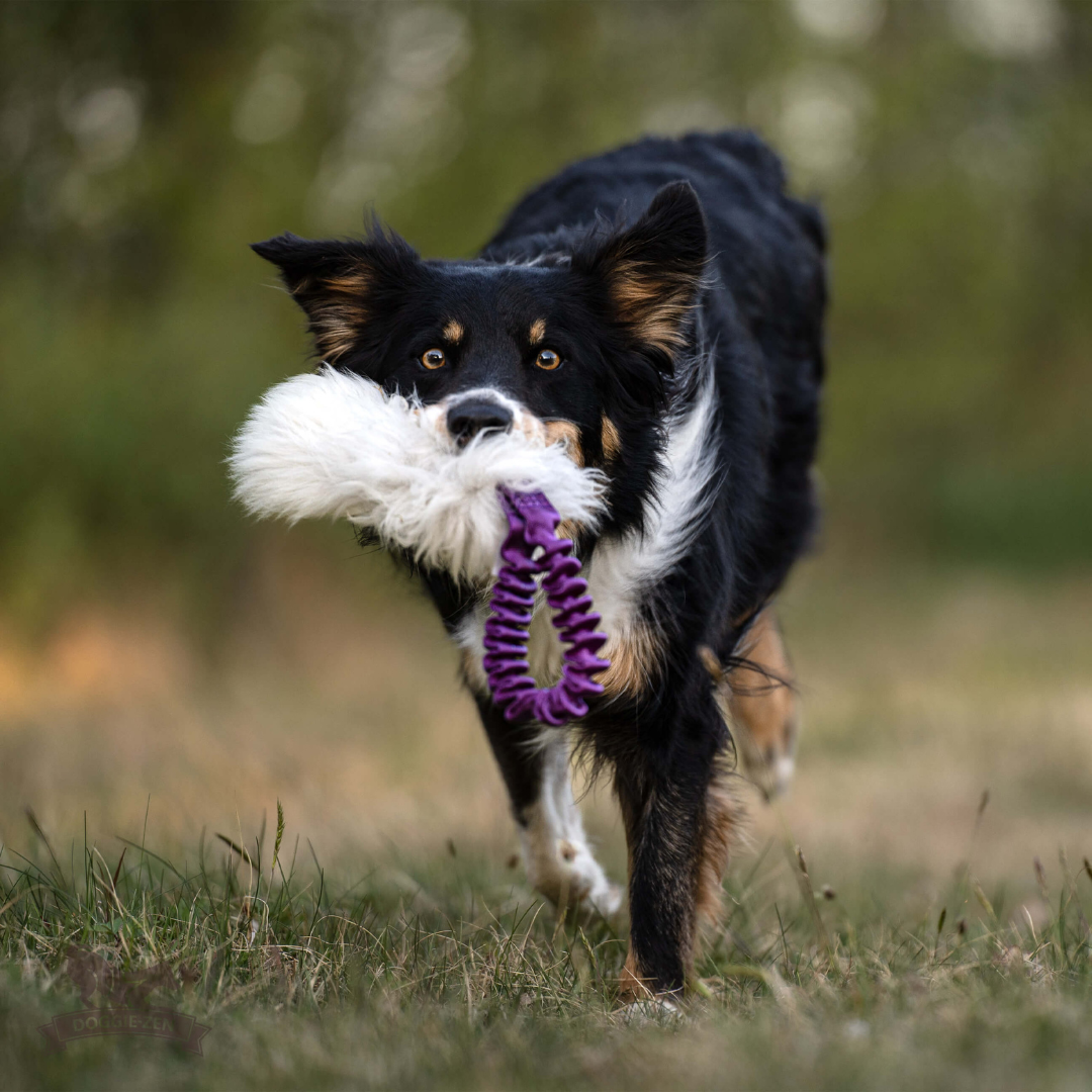 瑞典Doggie-Zen｜彈力羊毛口袋玩具