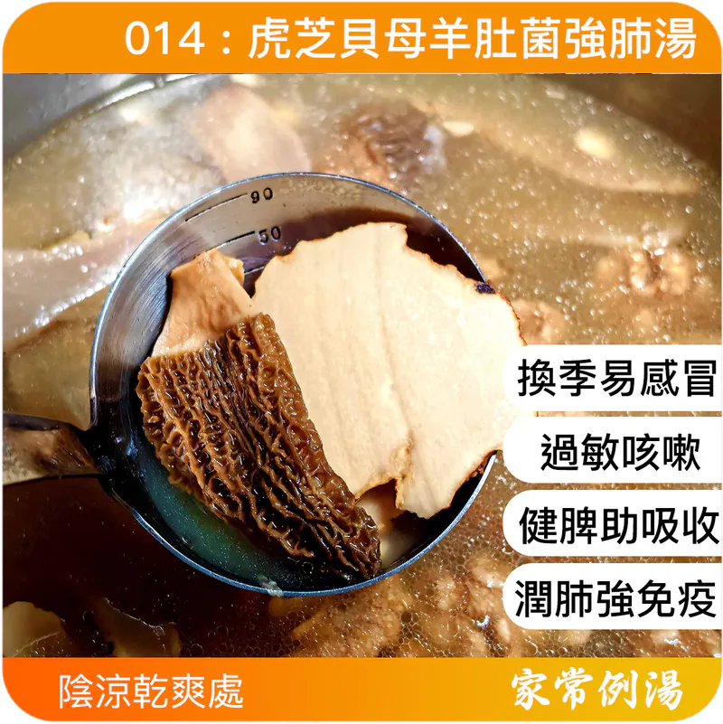 虎芝貝母羊肚菌強肺湯-小兒健脾開胃湯水-小朋友增強抵抗力湯