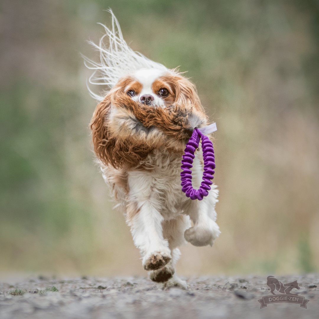 瑞典Doggie-Zen｜彈力狐狸毛口袋玩具