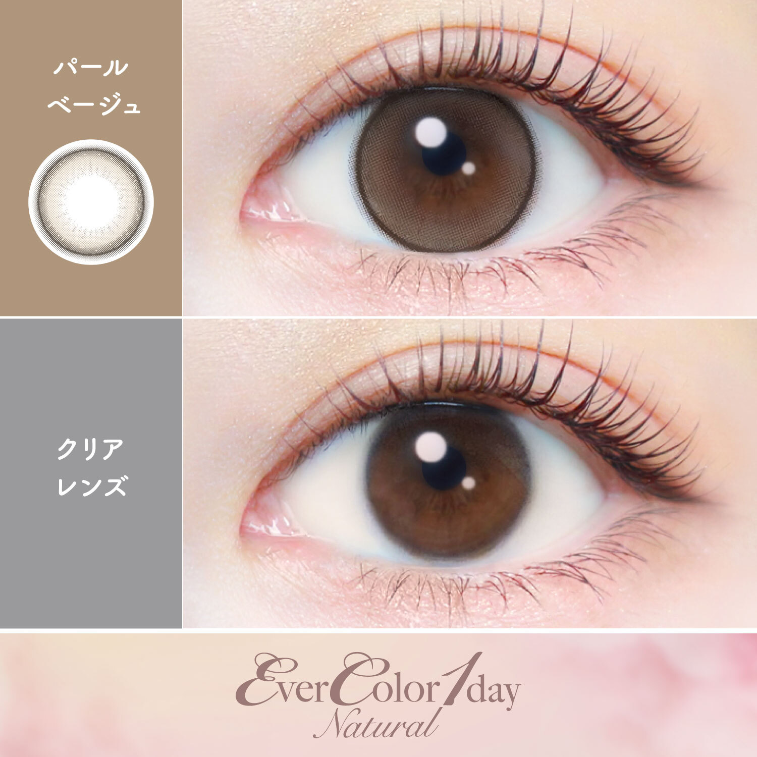 Ever Color 1 Day Natural pearlbeige｜日拋彩妝隱形眼鏡｜每盒20片