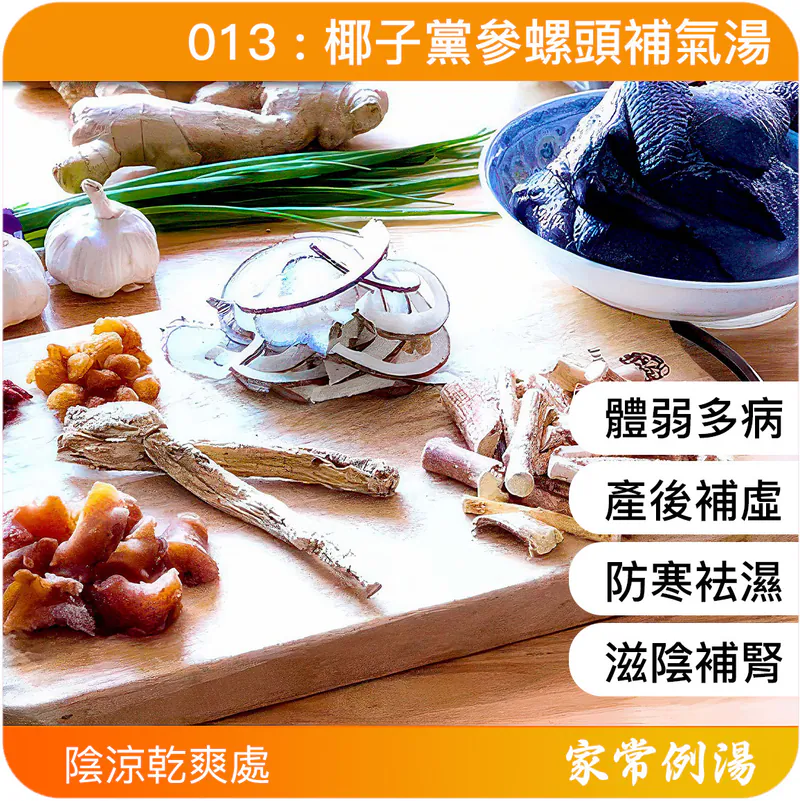 小兒健脾開胃湯水-椰子黨參螺頭補氣湯-小兒健脾湯水推薦