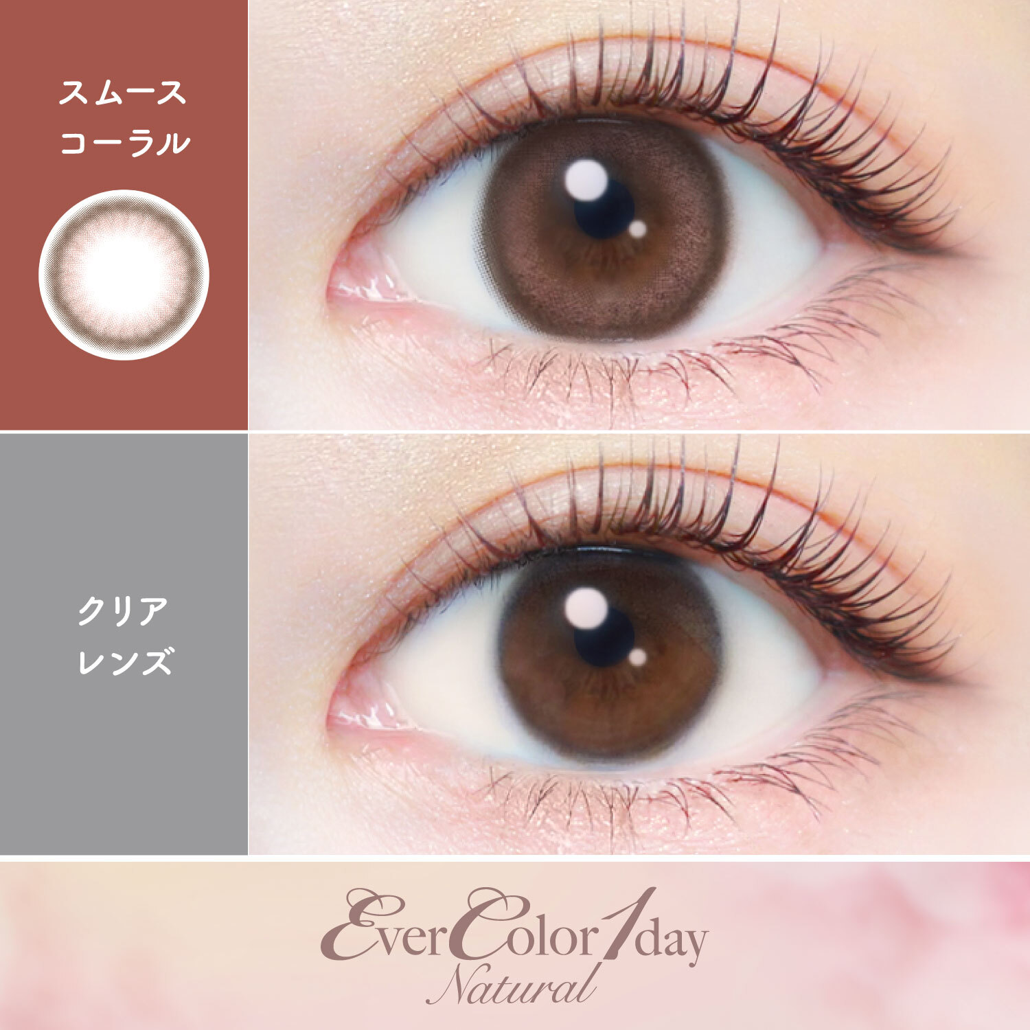 Ever Color 1 Day Natural smoothcoral｜日拋彩妝隱形眼鏡｜每盒20片