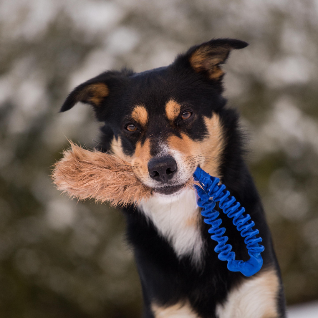 瑞典Doggie-Zen｜彈力兔毛口袋玩具