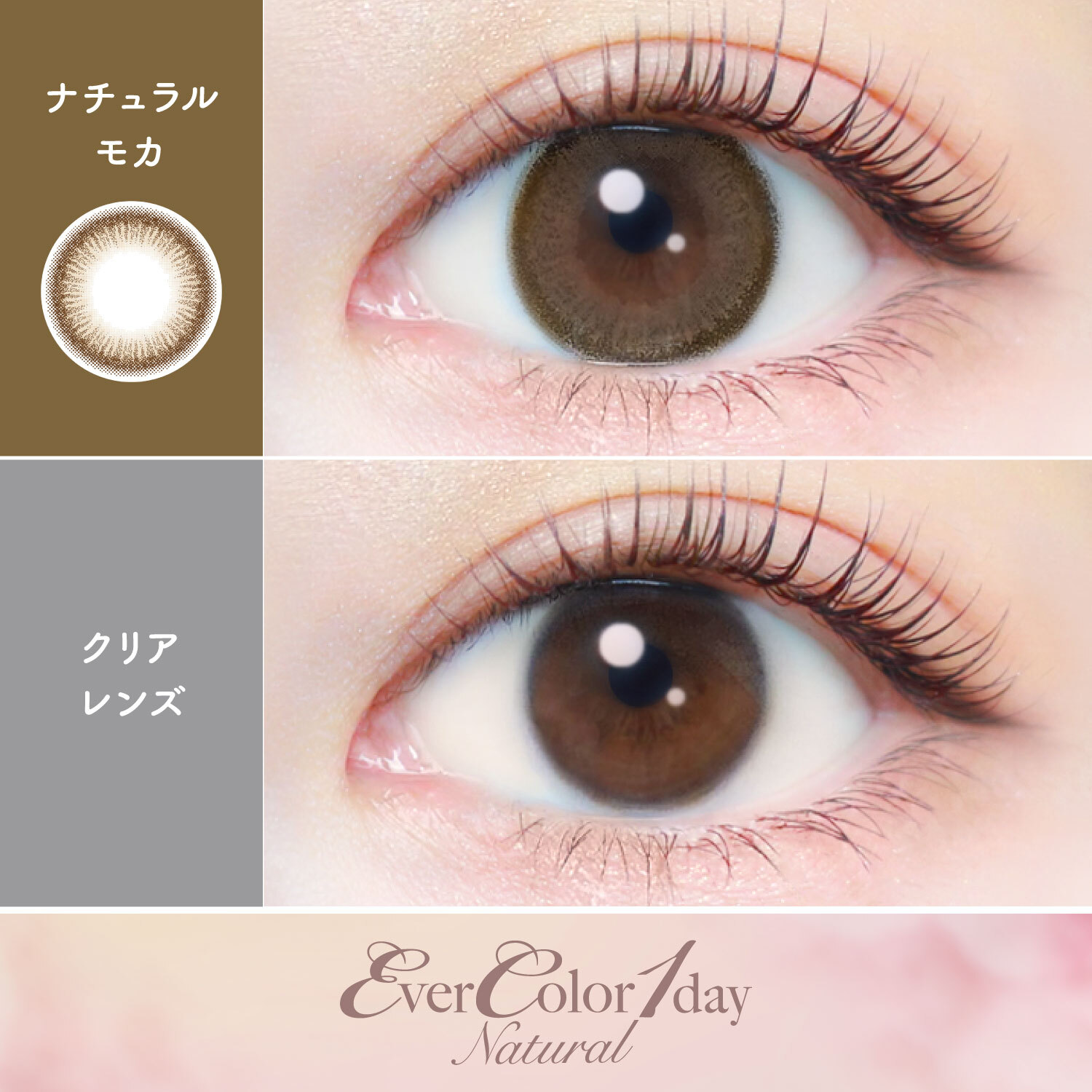 Ever Color 1 Day Natural naturalmocha｜日拋彩妝隱形眼鏡｜每盒20片