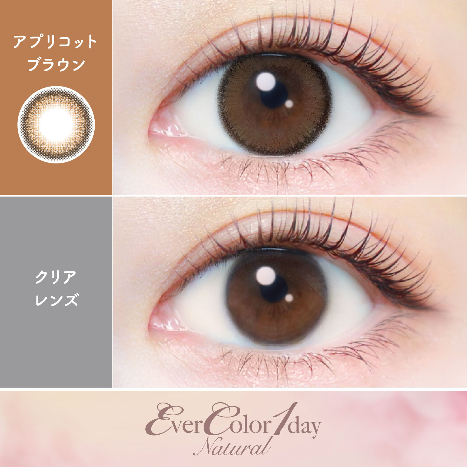 Ever Color 1 Day Natural apricotbrown｜日拋彩妝隱形眼鏡｜每盒20片