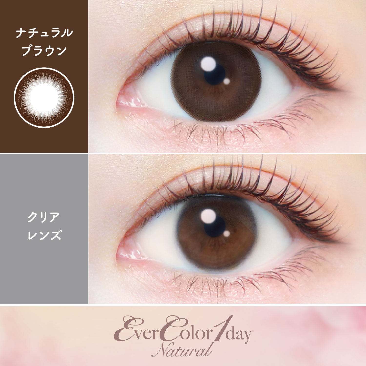Ever Color 1 Day Natural naturalbrown｜日拋彩妝隱形眼鏡｜每盒20片