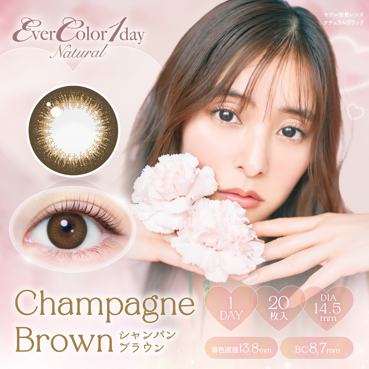 Ever Color 1 Day Natural champagnebrown｜日拋彩妝隱形眼鏡｜每盒20片