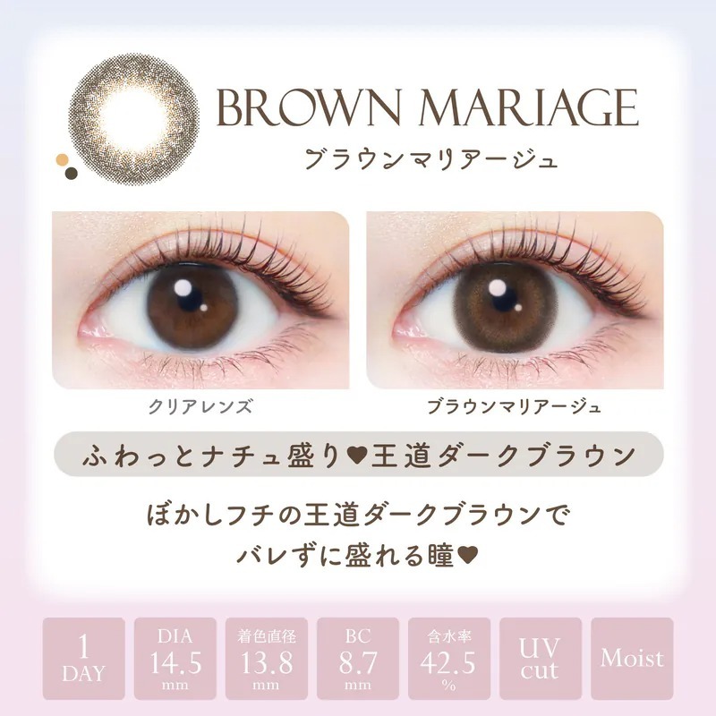 Ever Color 1 Day Natural Moist Label UV BrownMariage｜日拋彩妝隱形眼鏡｜每盒20片
