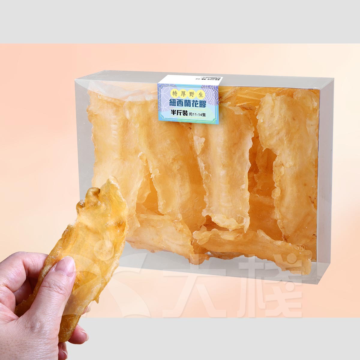 大L 特厚野生紐西蘭深海花膠 (半斤約11-14隻)