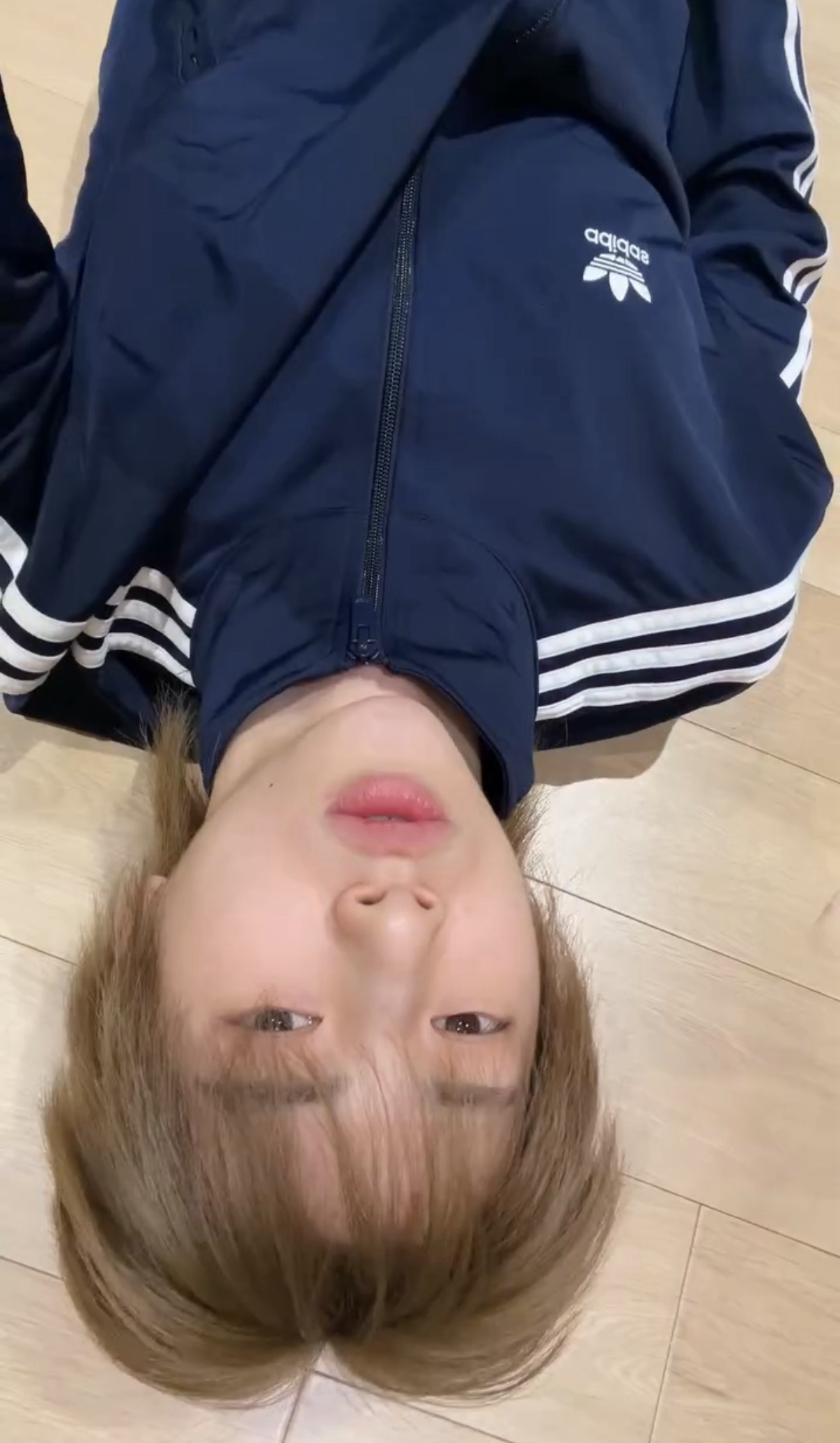 (juhoon同款) adidas - firebird track top (light indigo)