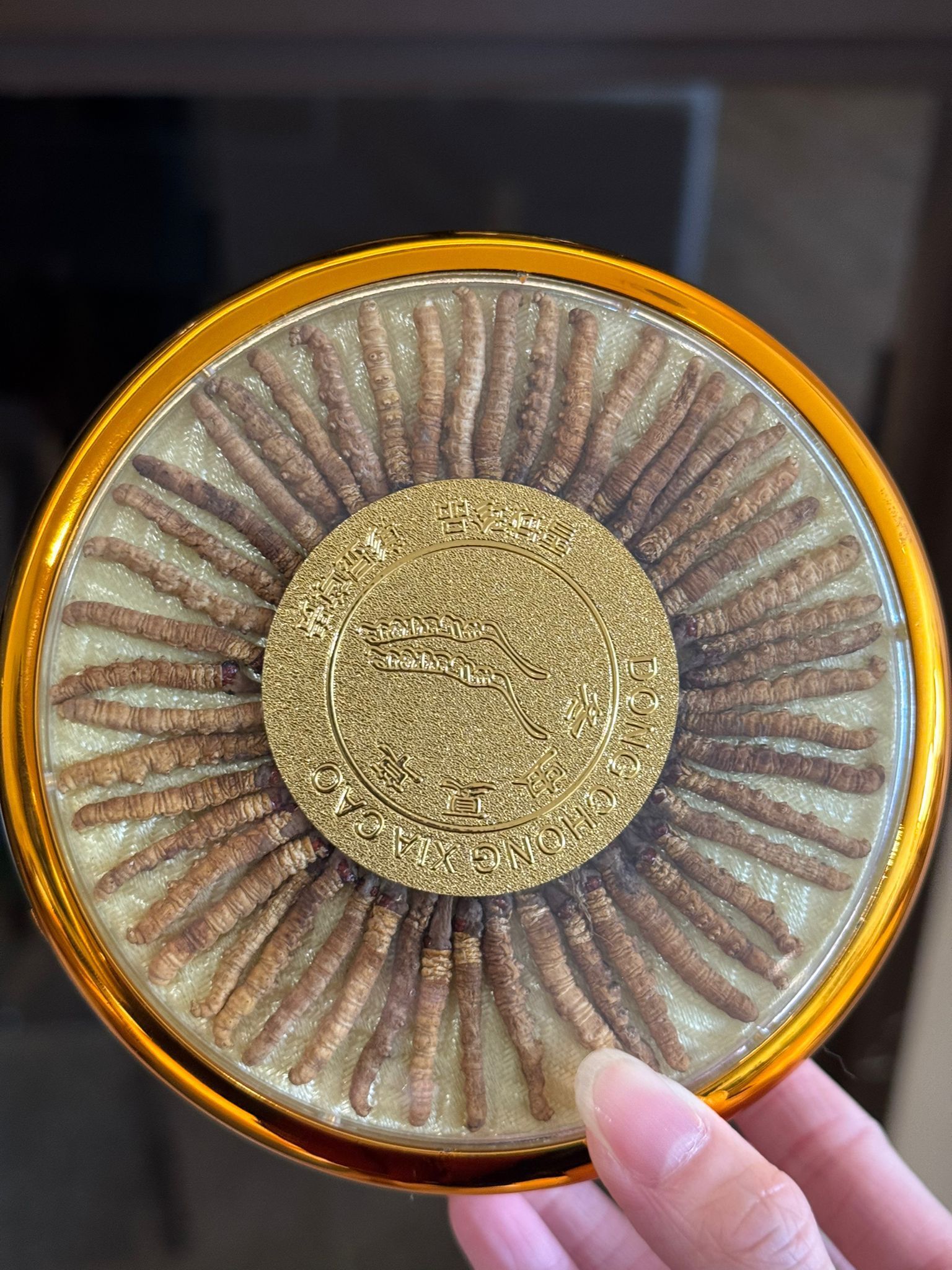 (6683) 50根野生冬蟲草