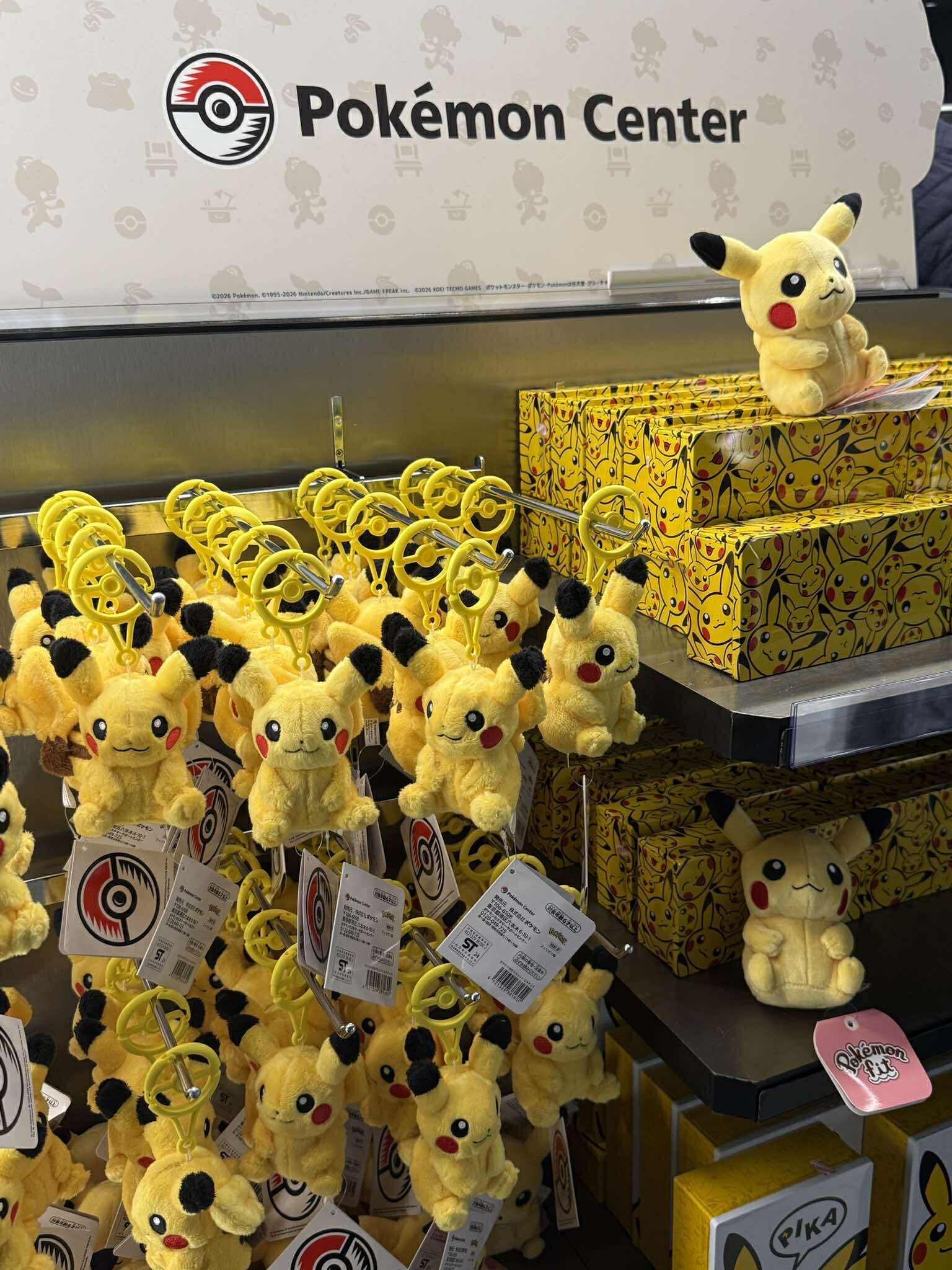 日本限定 寶可夢中心 皮卡丘/伊布/火伊布/摔角鷹人 吊飾