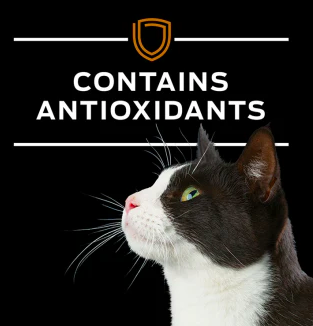 Purina Pro Plan  - 處方食品貓用腎臟護理配方糧 3.15磅裝