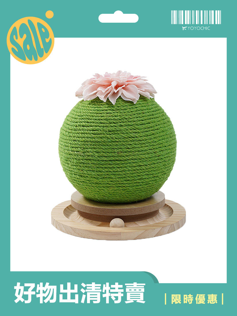 【福利品】喵仙兒-仙人掌造型貓抓球