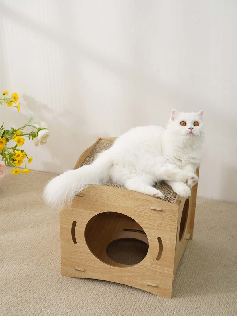 【福利品】喵仙兒-格格貓抓窩