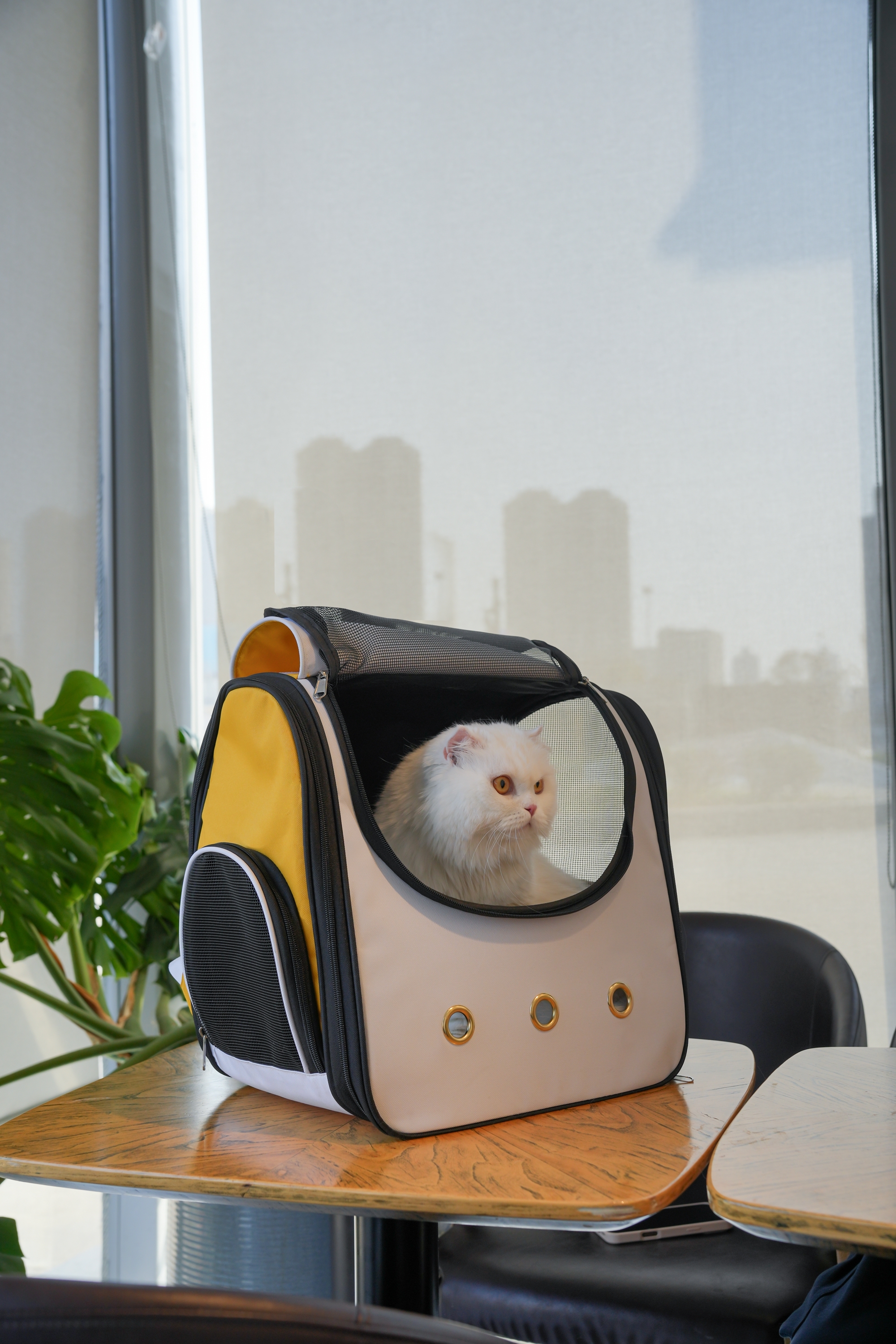 【福利品】喵仙兒-清新檸檬寵物後背包