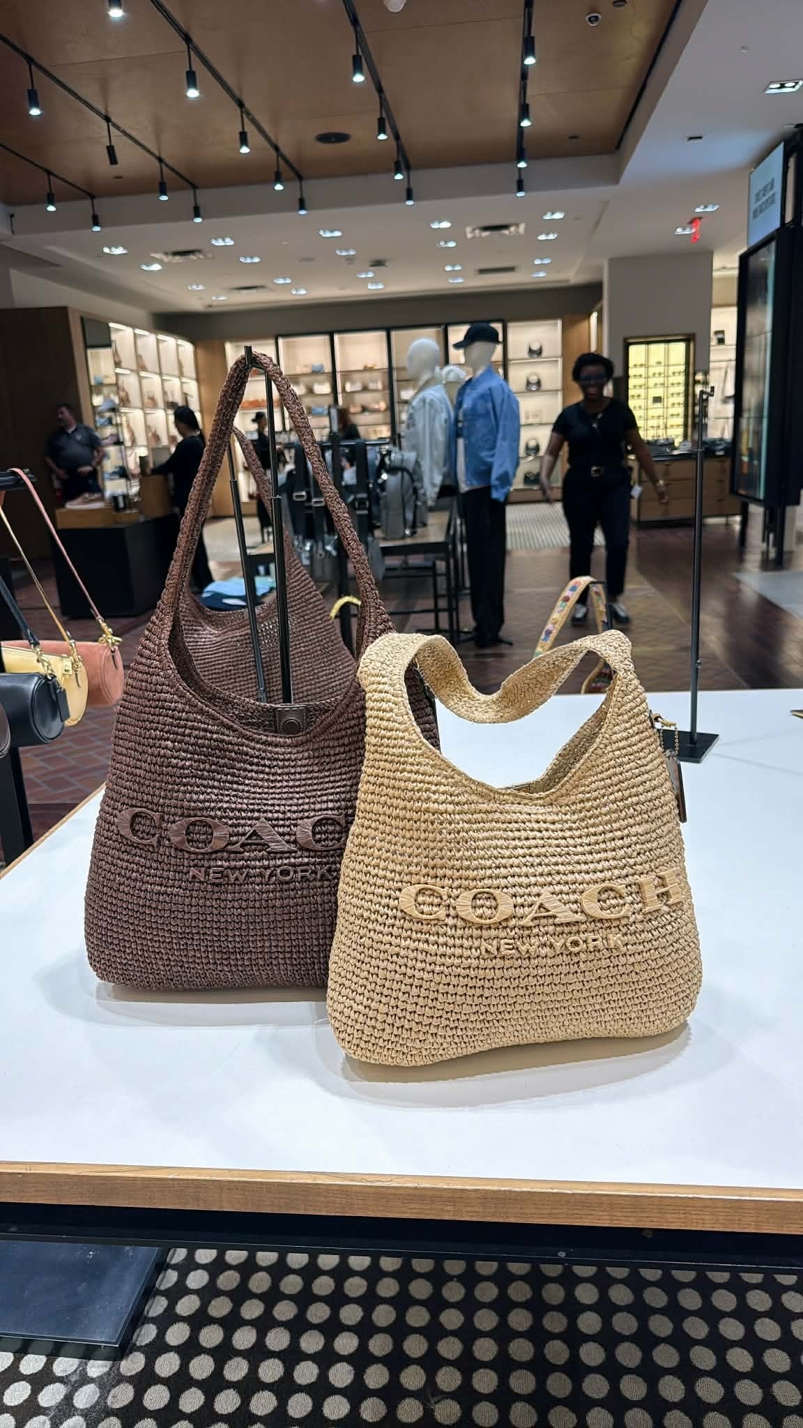 Coach Straw Brooklyn Bag