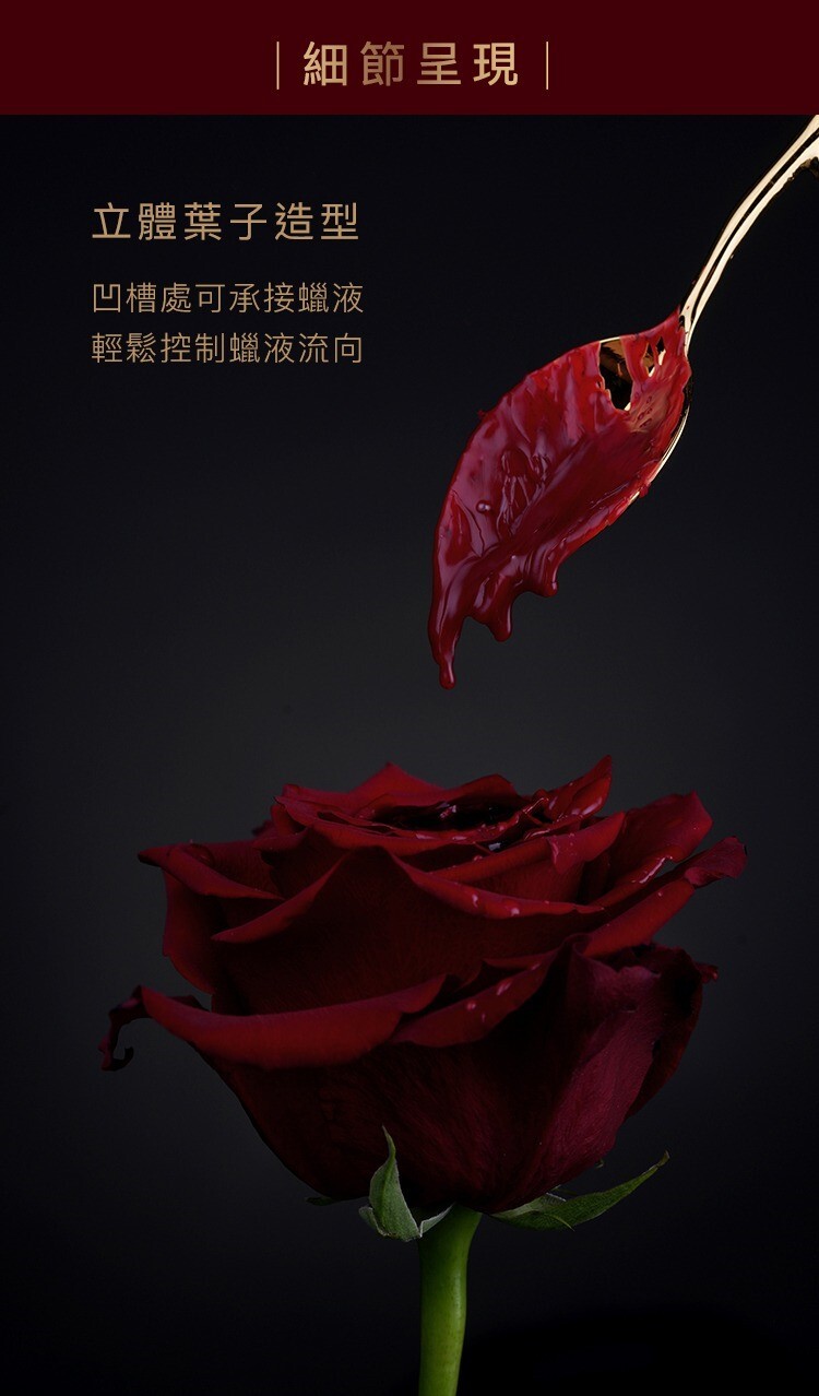 UPKO 金枝玉葉刮蠟板 刮蠟湯匙 sm刮蠟工具