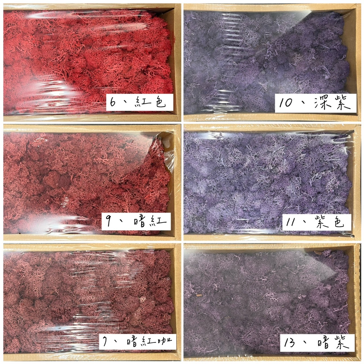 不凋水草(苔蘚) 250g