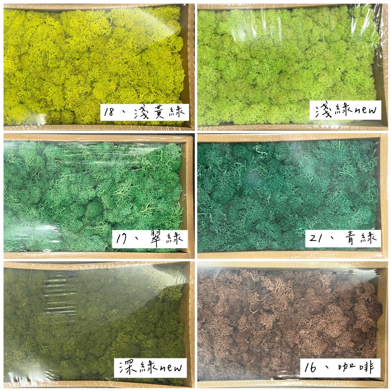 不凋水草(苔蘚) 100g