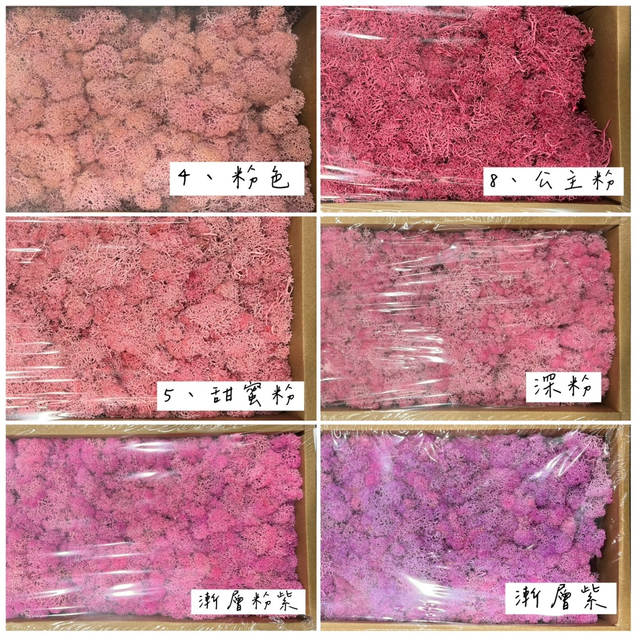 不凋水草(苔蘚) 450g