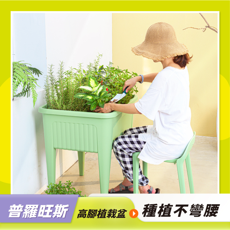 普羅旺斯高腳植栽盆-S｜陽台種植推薦的高腳花盆・種植免彎腰