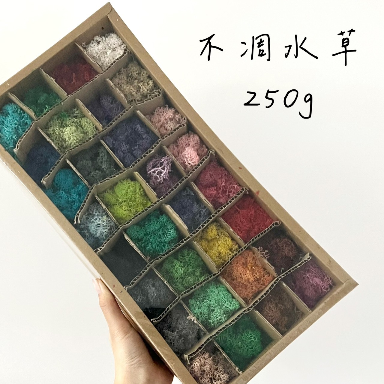 不凋水草(苔蘚) 250g