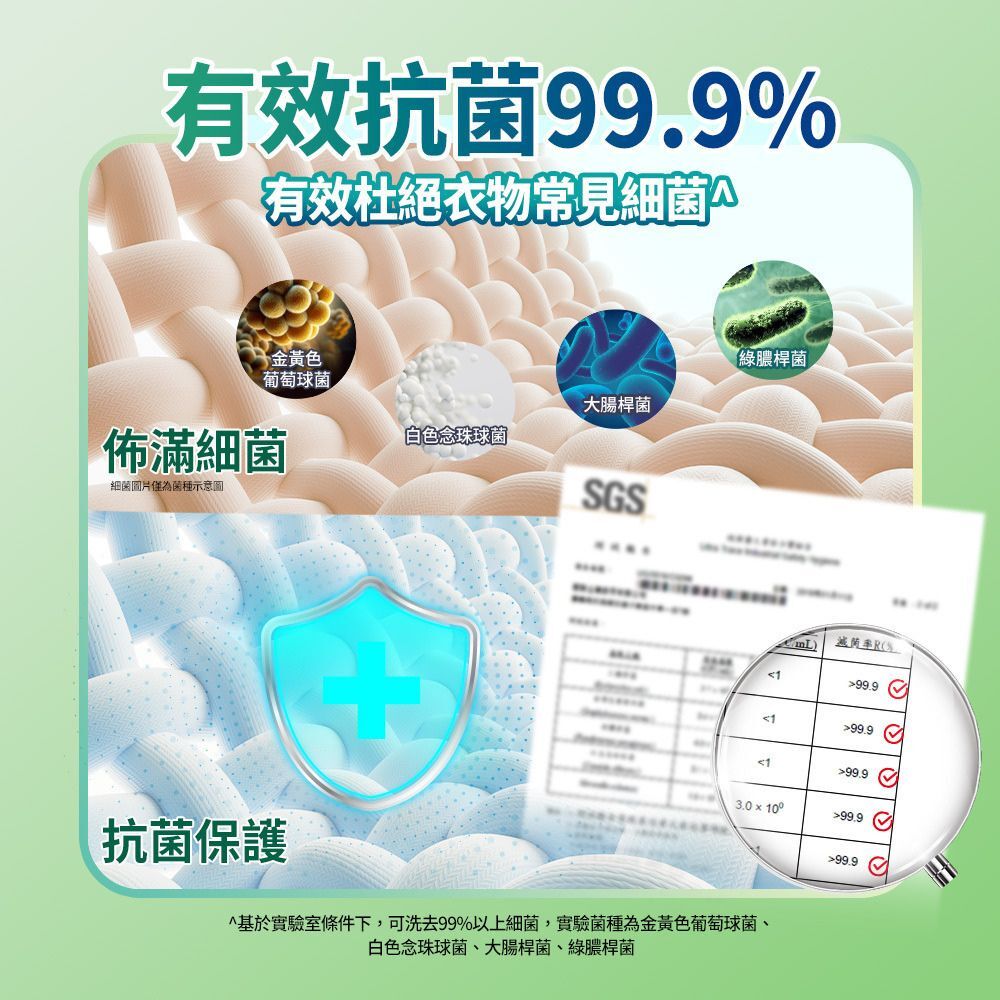 白帥帥速酵洗衣精1650g補充包澄淨柚香/薔薇芬芳｜極淨酵素 抗菌99.9% 低泡好沖洗 【輕鬆購五金百貨】